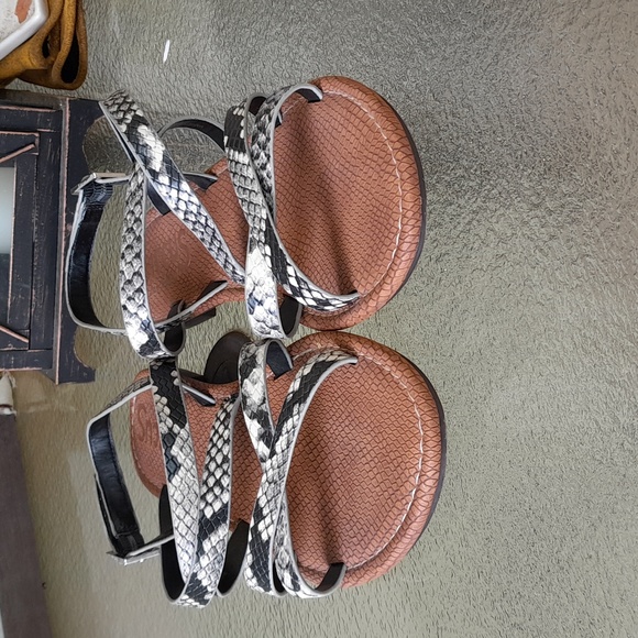 Circus by Sam Edelman Cee Cee Sandals Size9 Trendy,Strappy,Snakeskin Pattern EUC - Picture 5 of 6